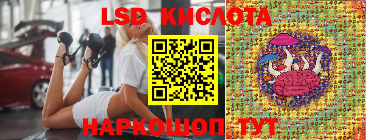 дарнет шоп  Наркотические марки 1,5мг  Вход с VPN  Наркотические марки 1,5мг  Благодарный  Марки 25I-NBOMe 